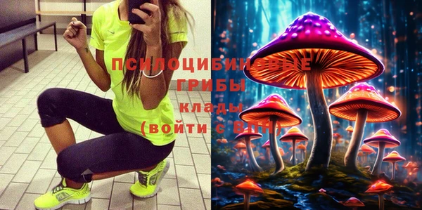 Альфа ПВП Вязьма