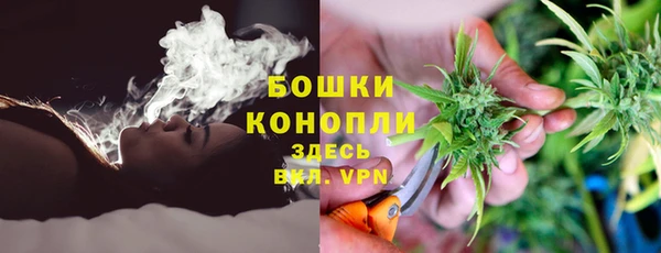 стафф Вяземский
