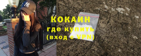 PSILOCYBIN Тихвин