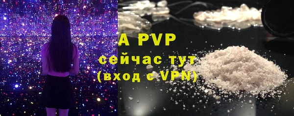 стафф Вяземский