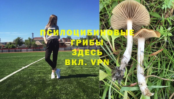 Альфа ПВП Вязьма