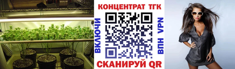 Купить закладки  Пучеж  ТГК вейп 