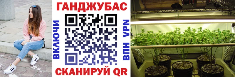 Шишки марихуана ГИДРОПОН  Купить  Пучеж 